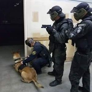 Meet your Posher, Ray